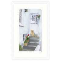 Read Whistlefish Reviews