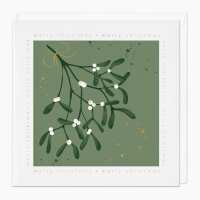 Read Whistlefish Reviews