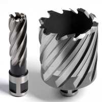 Read Evolution Power Tools Reviews