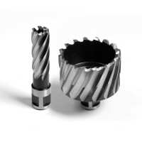 Read Evolution Power Tools Reviews