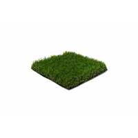 Read iGrass Reviews