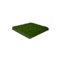 Read iGrass Reviews