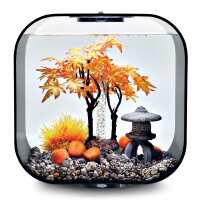 Read Aquapet Reviews