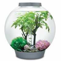 Read Aquapet Reviews