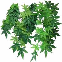 Read Aquapet Reviews