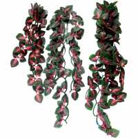 Read Aquapet Reviews