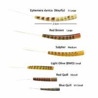 Read The Essential Fly Reviews