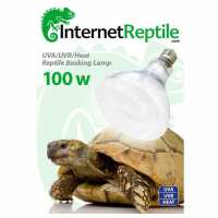 Read Internet Reptile Reviews