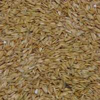 Read Burnhills Reviews