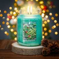 Read Temptation Gifts Reviews