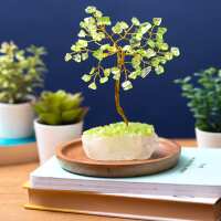 Read Temptation Gifts Reviews