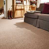 Read Carpet World UK Reviews