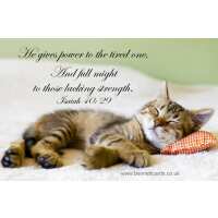 Read Bennett Cards Ltd Reviews