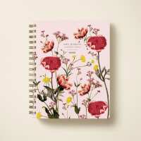 Read Papier Reviews