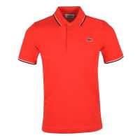 Read masdings.com Reviews