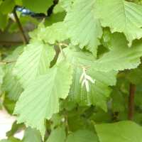 Read Tree2mydoor Reviews