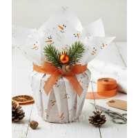 Read Transpack Ltd Reviews