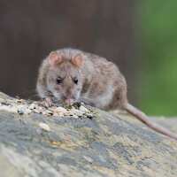 Read WCF Ltd T/A Progreen Reviews