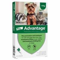 Read Direct 4 Pet  (Black Cat Medicines Limited) Reviews