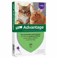 Read Direct 4 Pet  (Black Cat Medicines Limited) Reviews