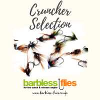 Read Barbless Flies Limited Reviews