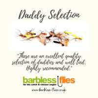 Read Barbless Flies Limited Reviews
