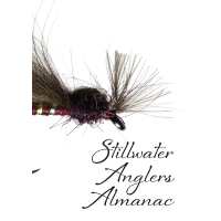 Read Barbless Flies Limited Reviews