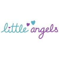 Read Little Angels Prams Reviews