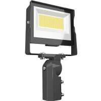 Read PROLIGHTING Reviews