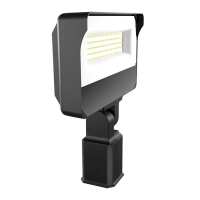Read PROLIGHTING Reviews
