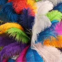 Read Wholesale Event Solutions Reviews
