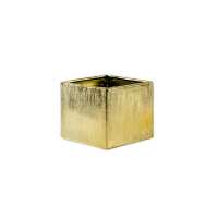 Read Wholesale Event Solutions Reviews