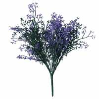 Read Evergreen Direct Reviews