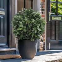 Read Evergreen Direct Reviews
