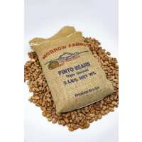 Read The Hatch Chile Store Reviews