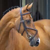 Read GS Equestrian Reviews