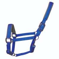 Read GS Equestrian & Country Reviews