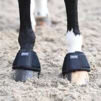 Read Harry Hall Reviews