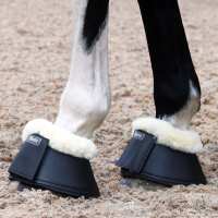 Read Harry Hall Reviews