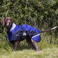 Read Harry Hall Reviews