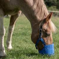 Read Harry Hall Reviews