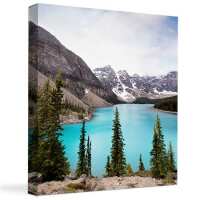 Read Easy Canvas Prints Reviews