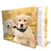 Read Easy Canvas Prints Reviews