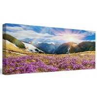 Read Easy Canvas Prints Reviews