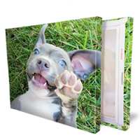 Read Easy Canvas Prints Reviews