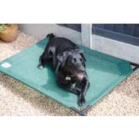 Read Doggie Solutions Reviews