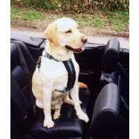 Read Doggie Solutions Reviews