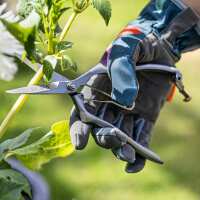 Read Farrar & Tanner Reviews