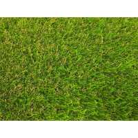 Read Artificial Grass Direct Reviews