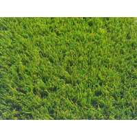 Read Artificial Grass Direct Reviews